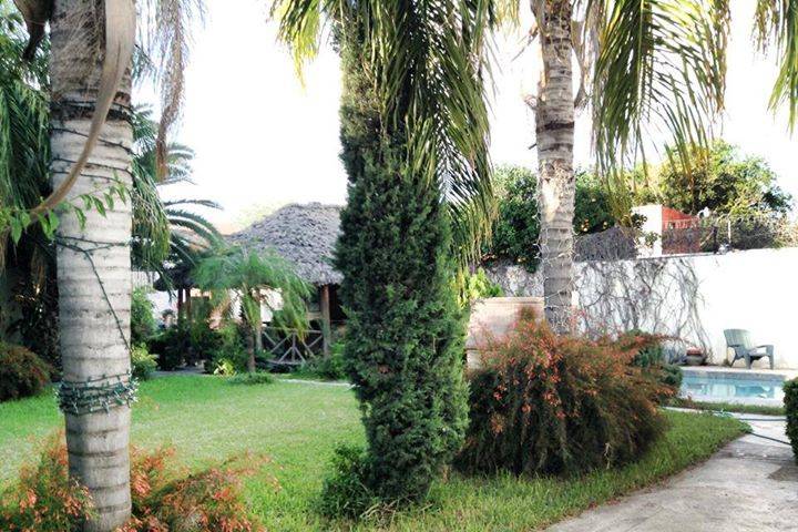 Caribbean Pool & Patio