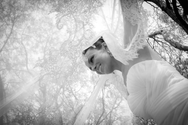 Novias elegantes