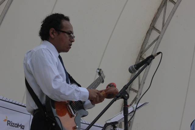 Platinum guitarra