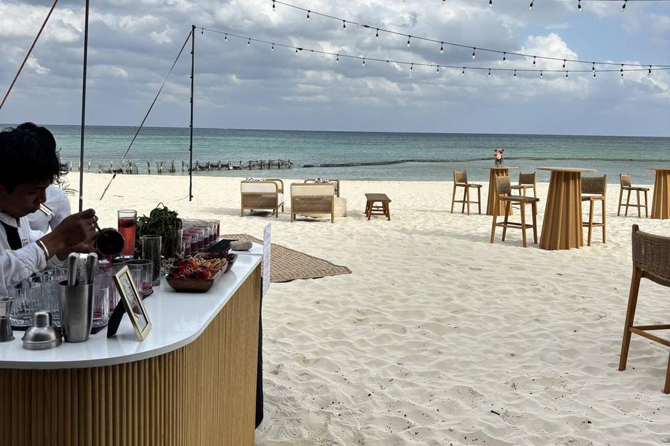Nuestras barras en la playa