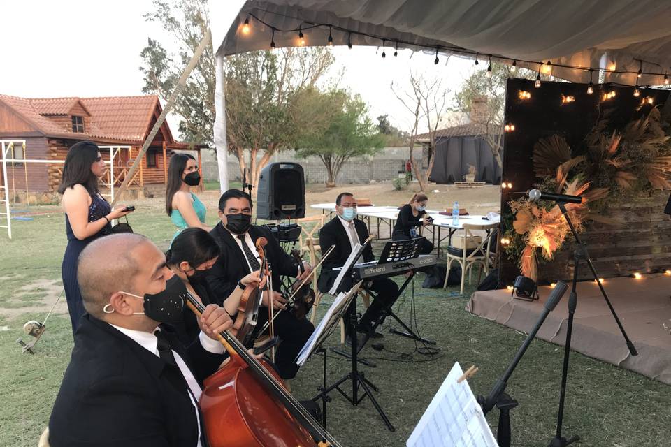 Cuarteto en ceremonia cristiana