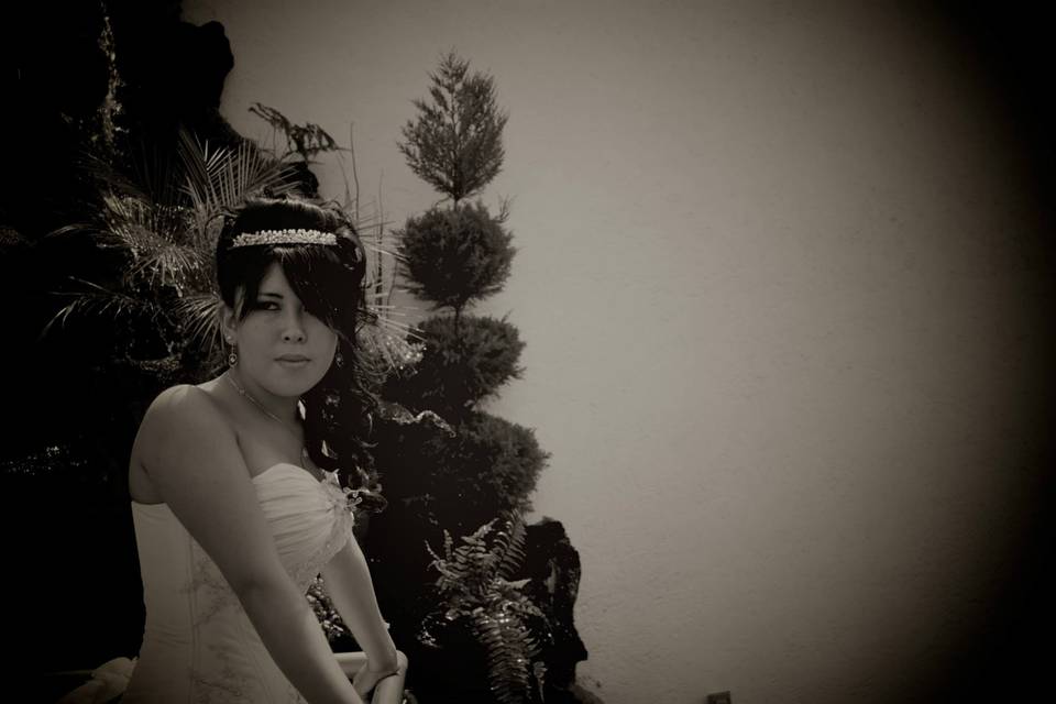 Novia