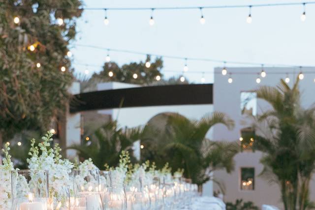 Estefani Pina Events