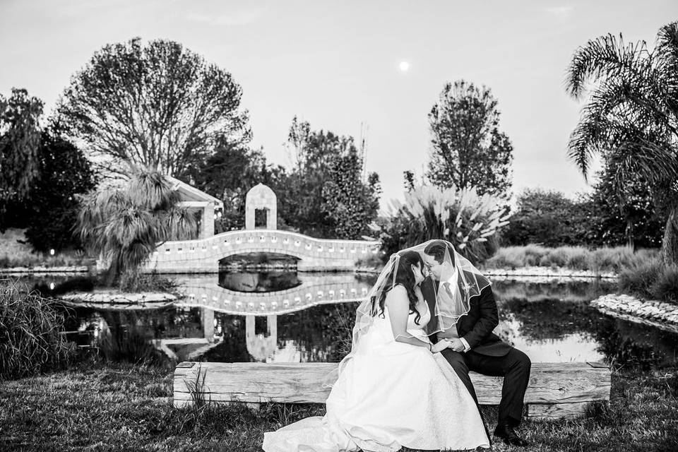 Boda de ensueño
