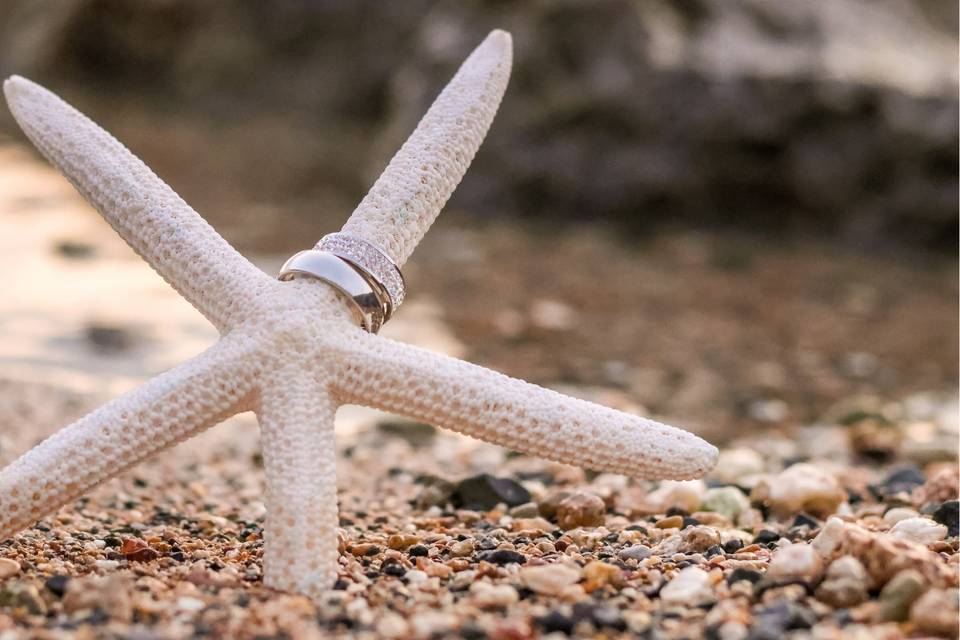 Anillos de matrimonio en una estrella de mar