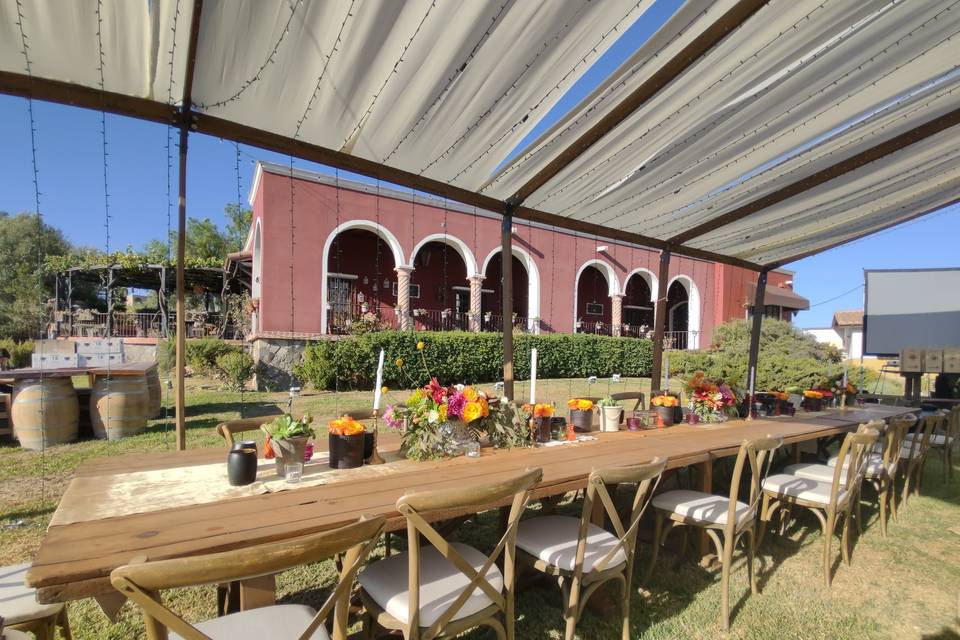 Boda en Valle de Guadalupe