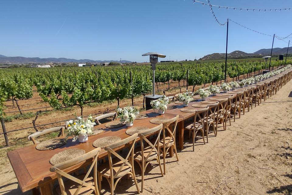 Boda en Valle de Guadalupe