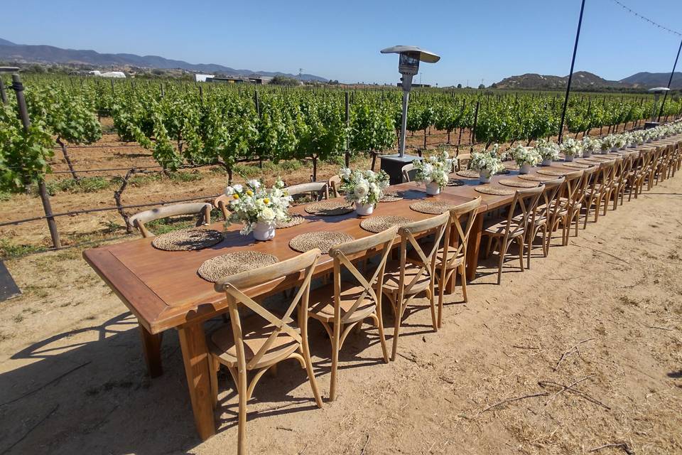 Boda en Valle de Guadalupe