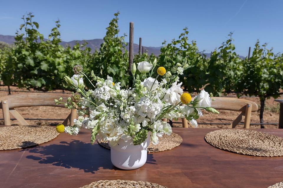 Boda en Valle de Guadalupe