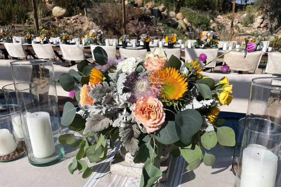 Boda en Valle de Guadalupe