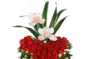 Floreria Patrick