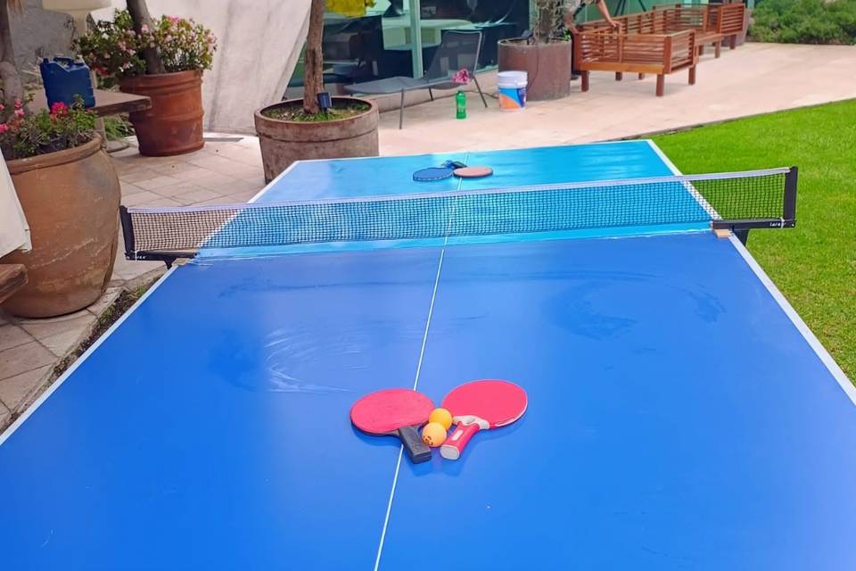Ping Pong Pro