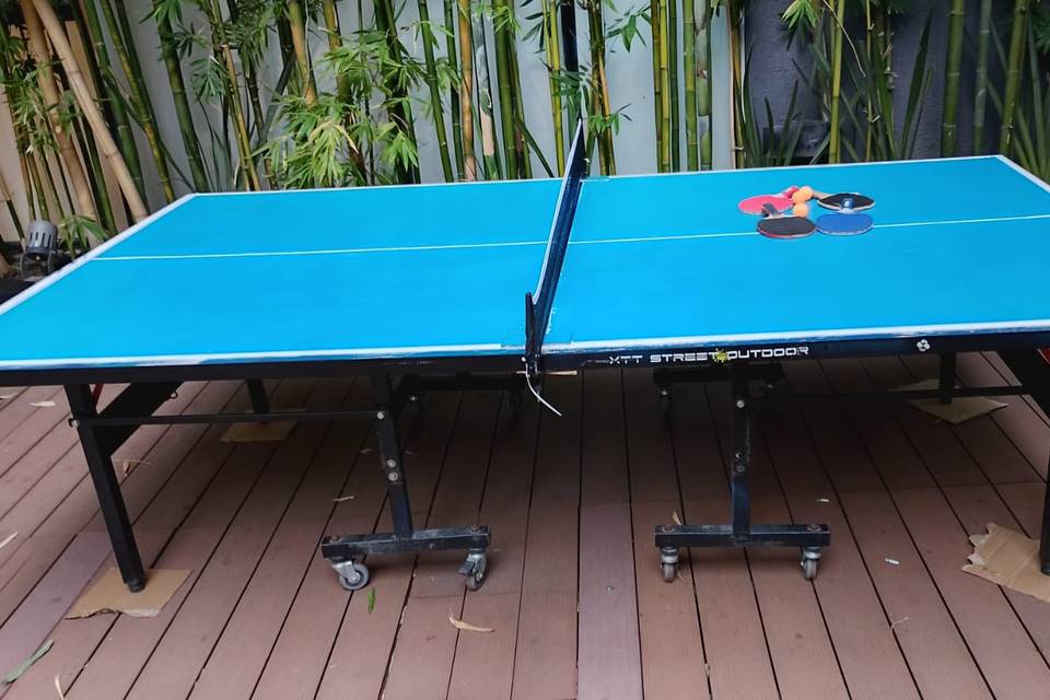 Ping pong profesional