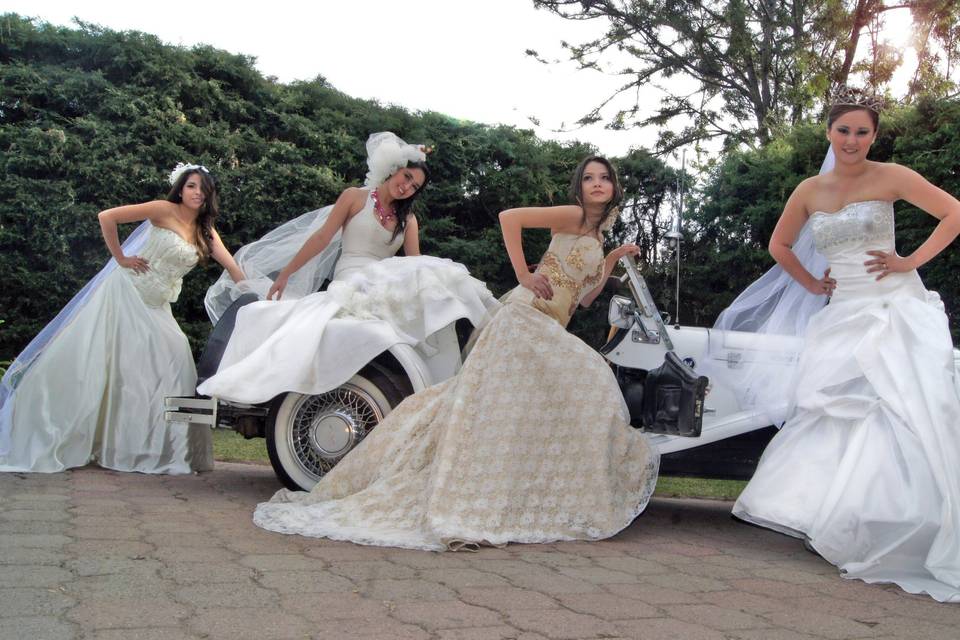 Maroa Novias