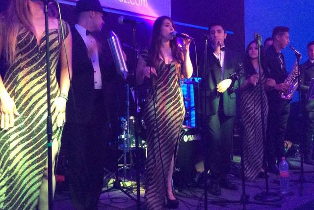 Elegancia y profesionalismo