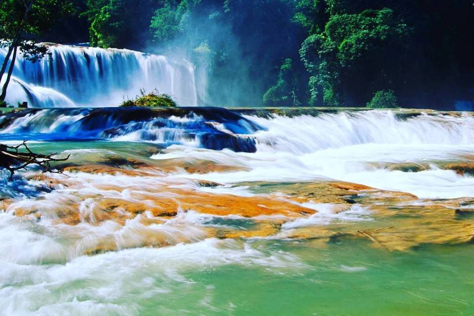 Cascadas de Agua Azul