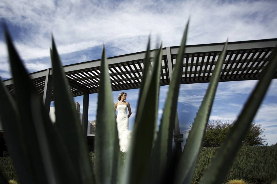 La novia