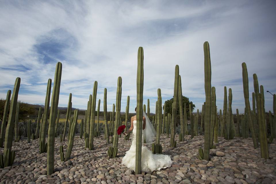 Retrato de la novia