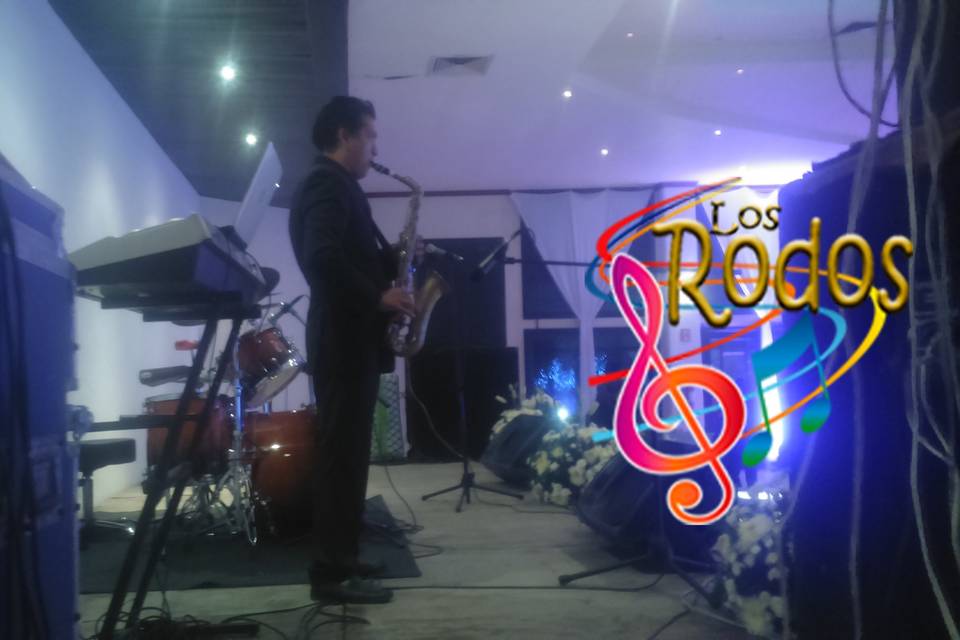 Grupo Musical Los Rodos