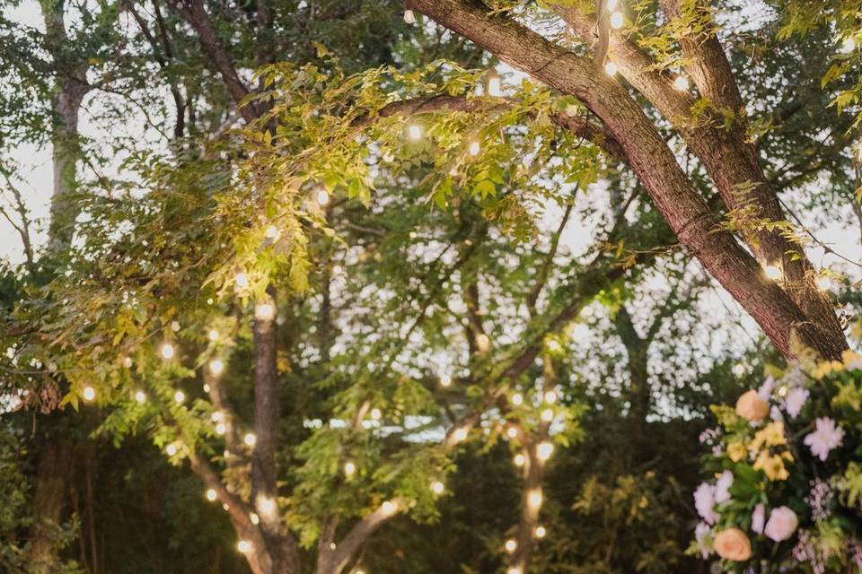 Montajes espectaculares