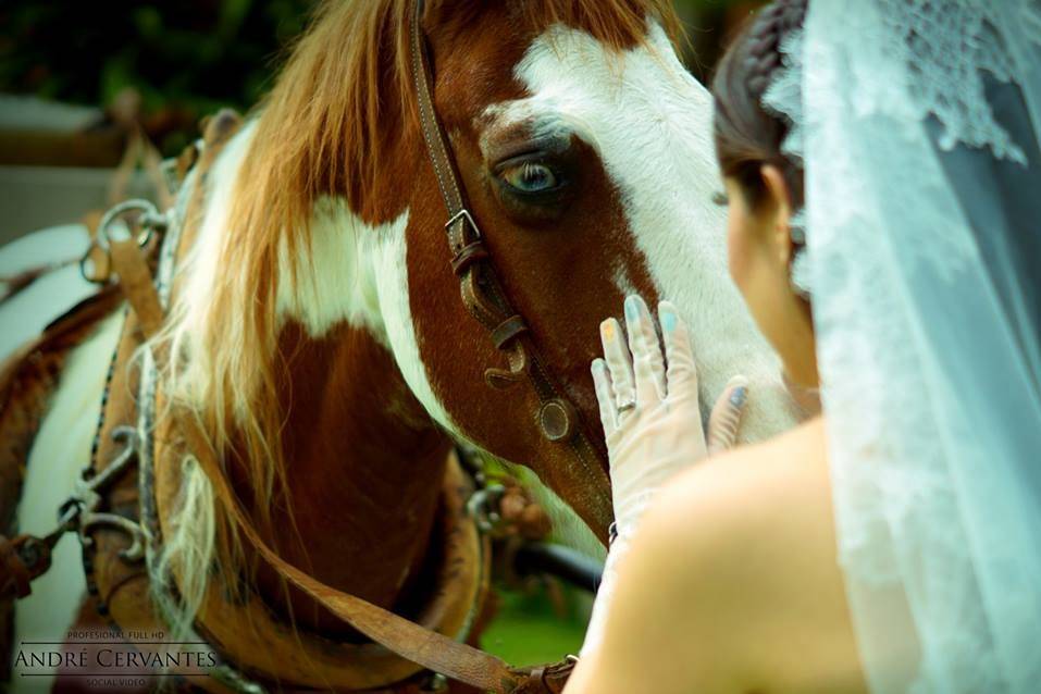 Sesión novios accesorios