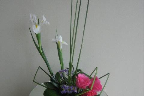 Freesia Florería