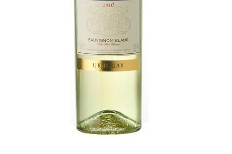 Sauvignon blanc