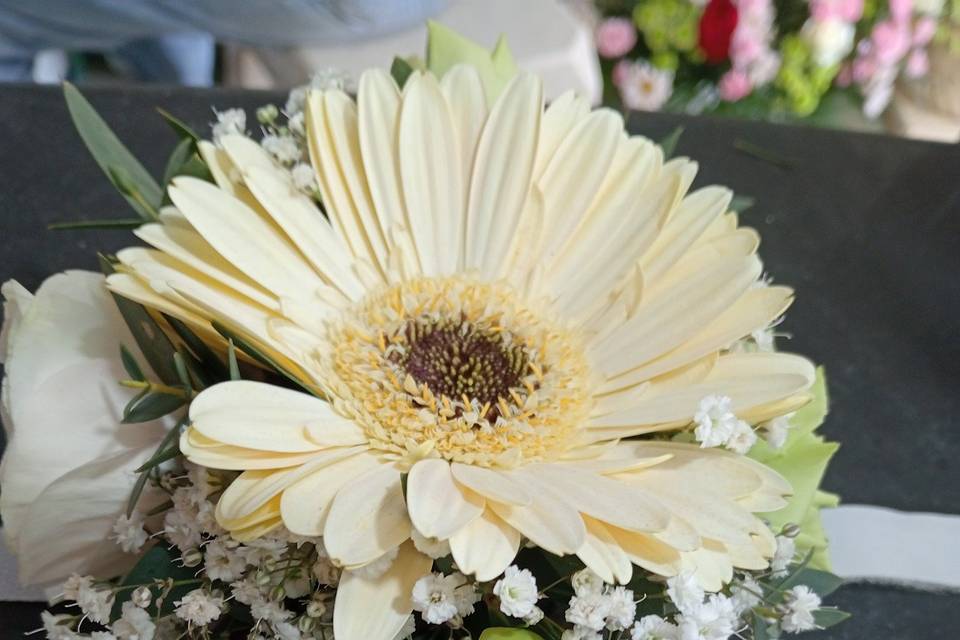 Lisianthus