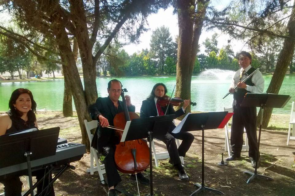 Ceremonia al aire libre 2016