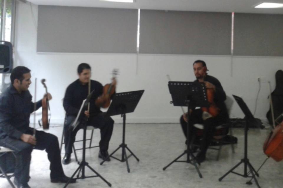 Cuarteto Paax Yancuic