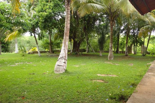 Hacienda San José Poniente