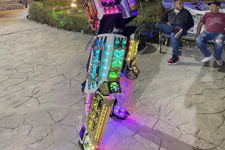 Robro magno charro