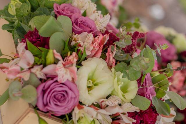 Flores lindas y frescas