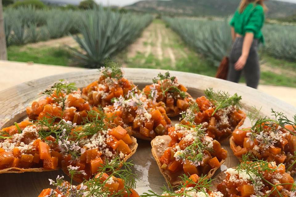 Mini tostadas de chileajo