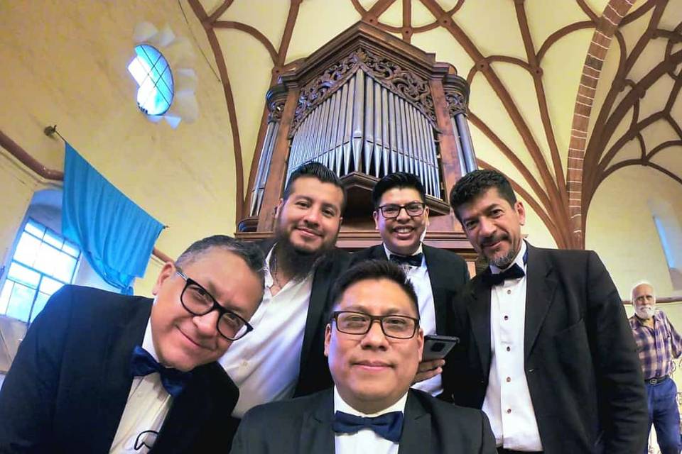 Bodas con estilo concierto