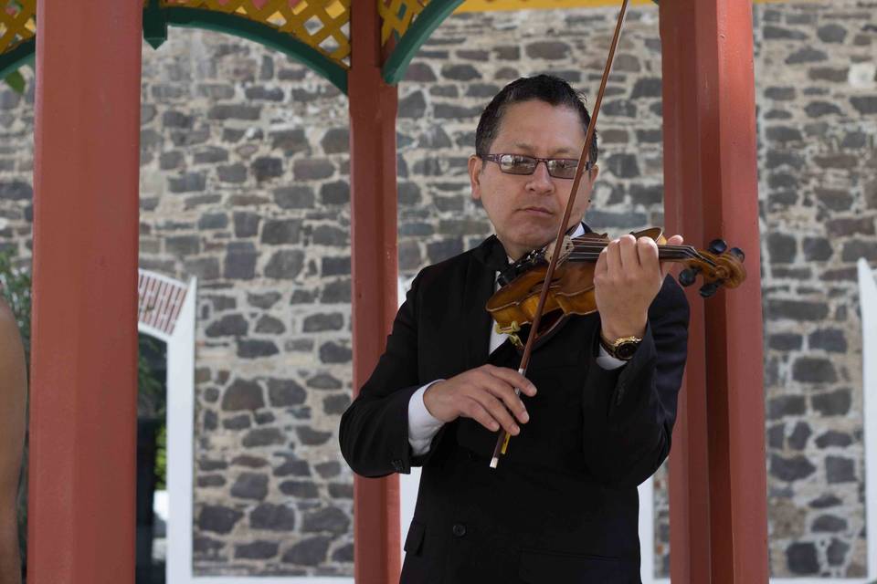 Violines en Puebla