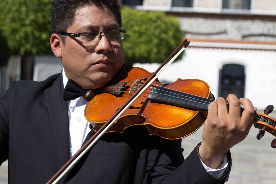 Violines puebla