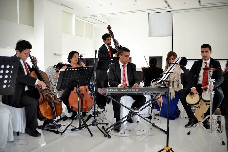 Cuerdas, percusión y piano