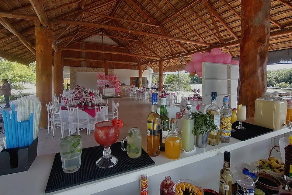 Cosmopolitan Drinks & Catering