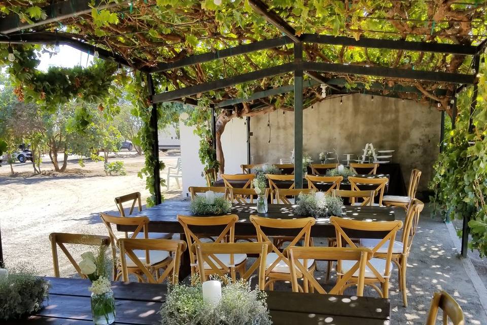 Jardín