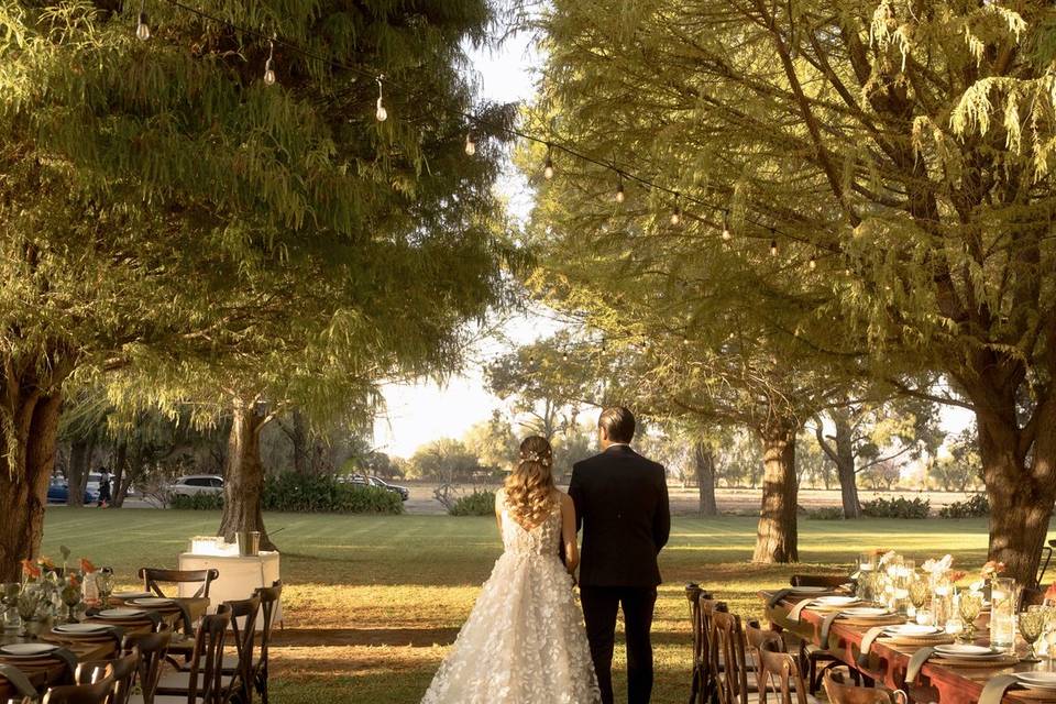 Boda en ahuehuetes