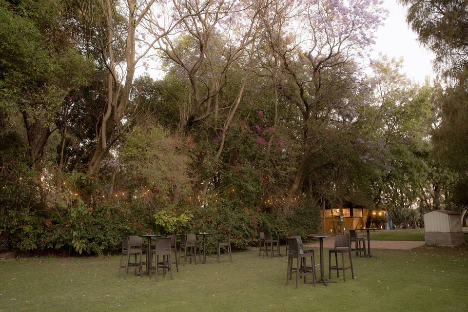 Coctel en jardín