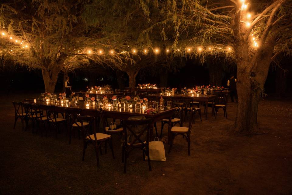 Noche en ahuehuetes