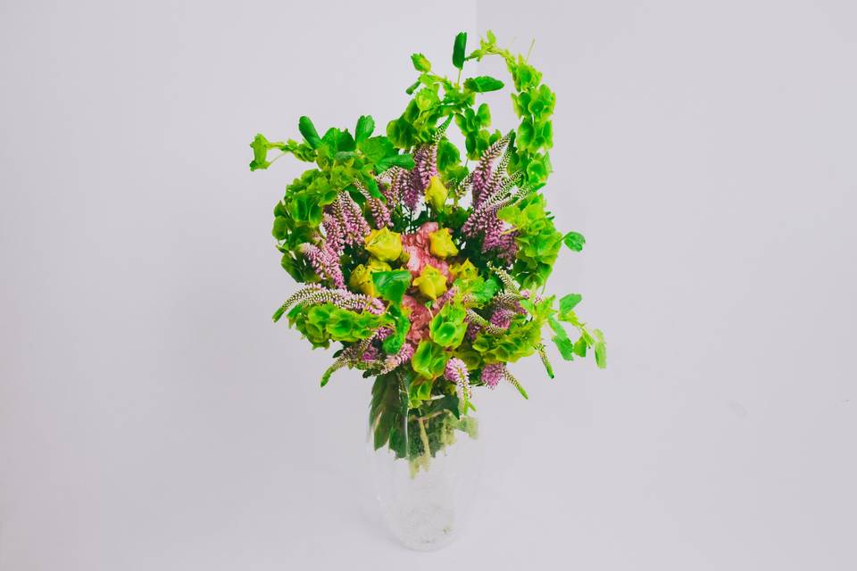 Nos encanta la naturaleza