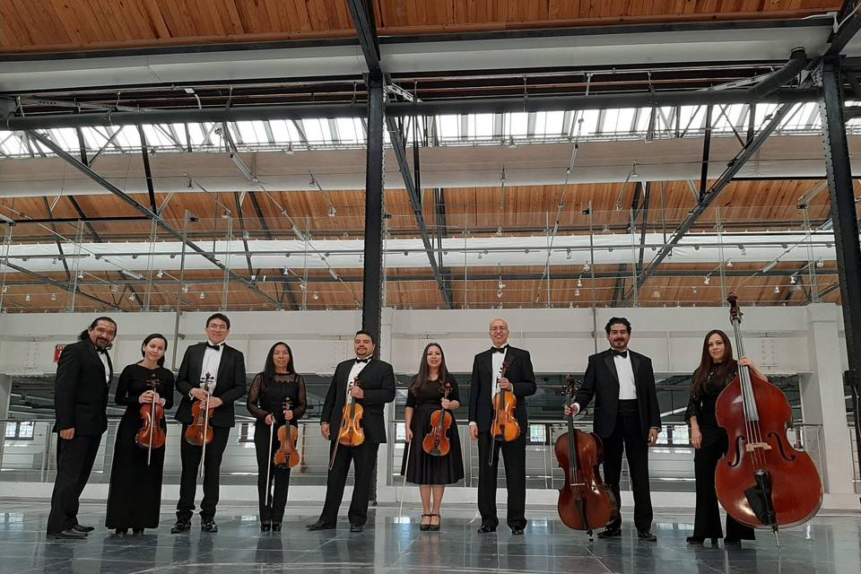 Violines en Toluca