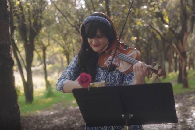 Violinista