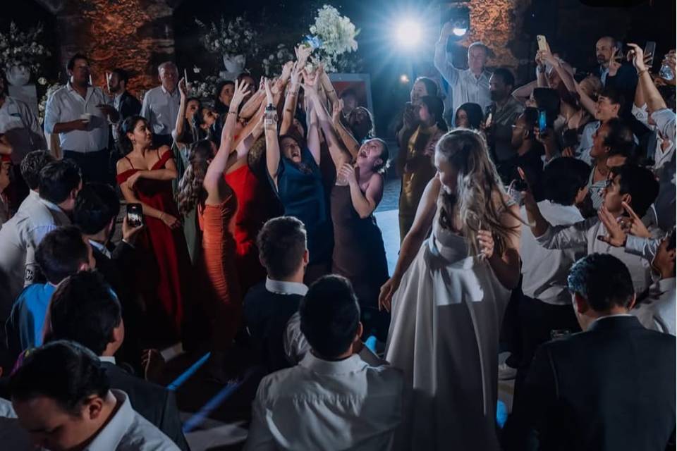 FIESTA ALEKSA