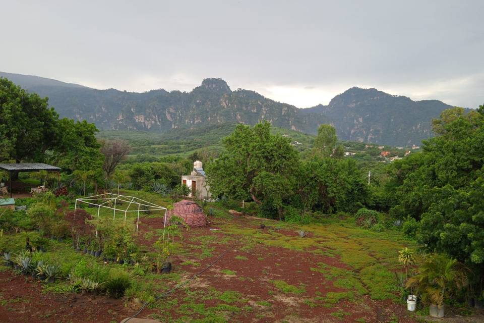 Vista del balcón