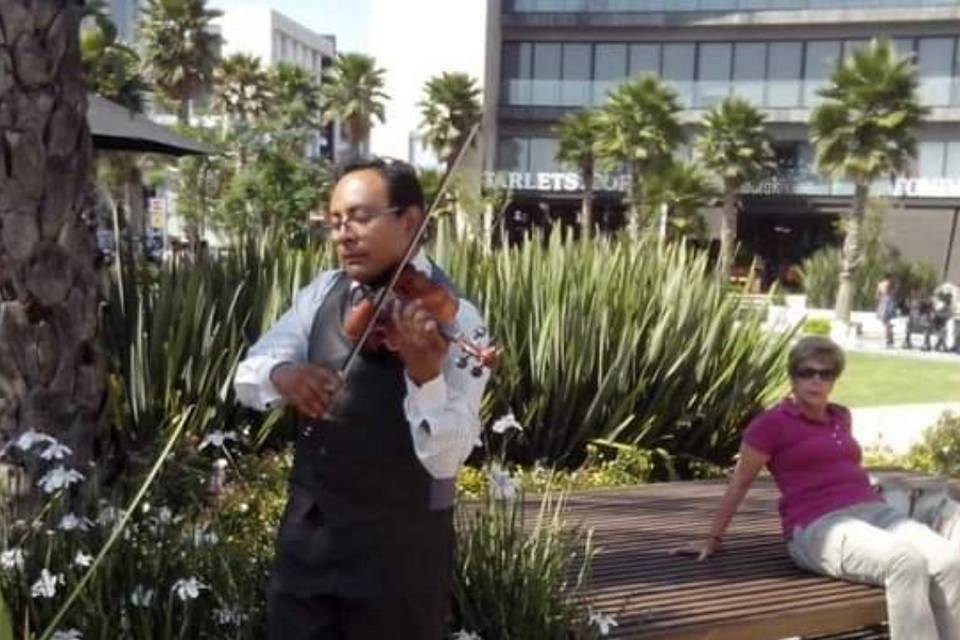 Violinista para bodas Tlaxcala