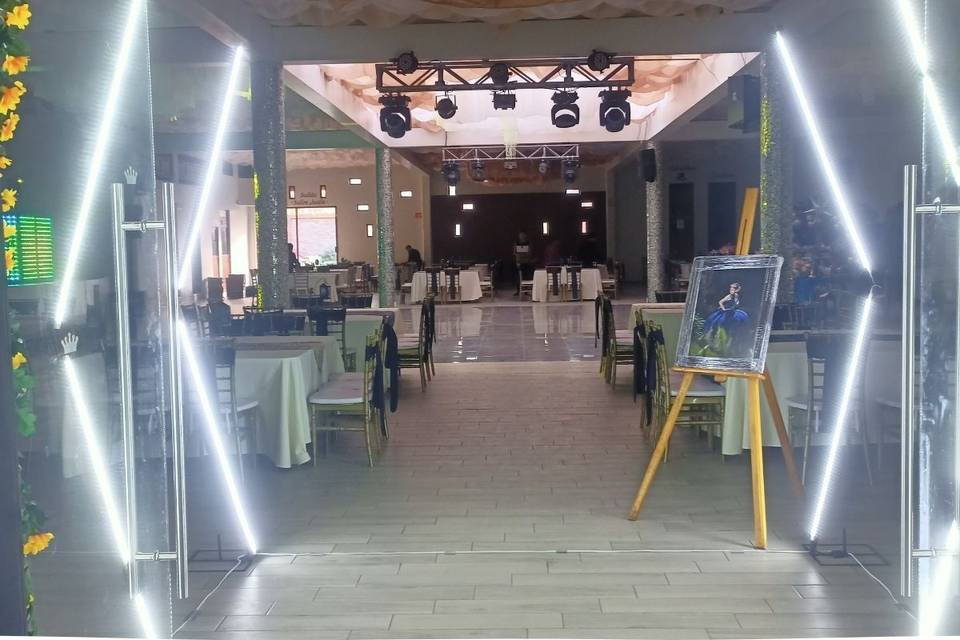 Decoración Led salon Princess